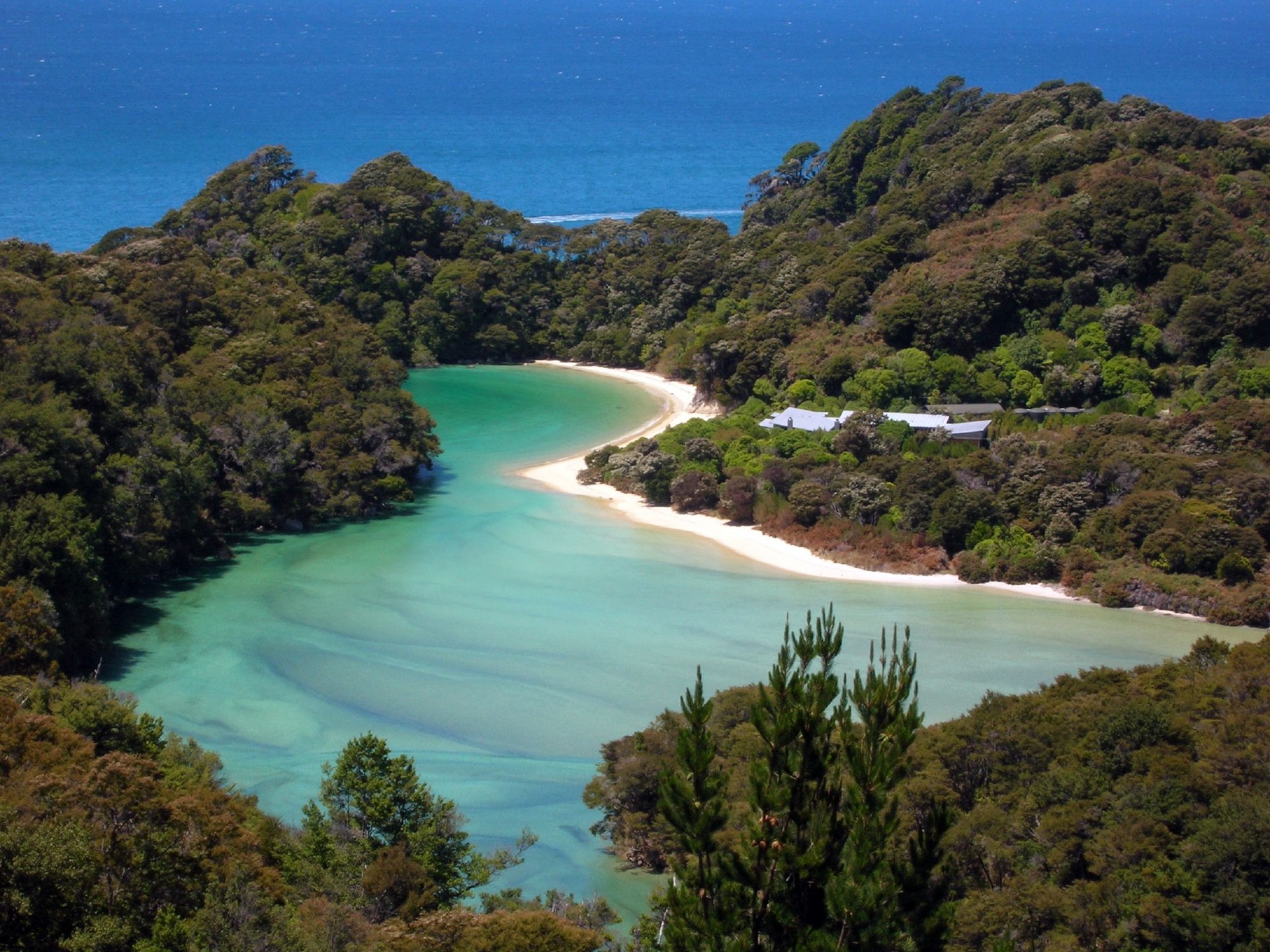 Abel Tasman | LAT.40