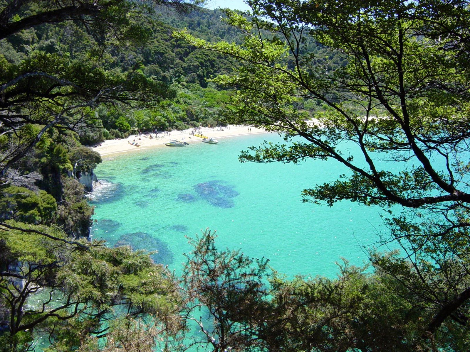 Abel Tasman | LAT.40
