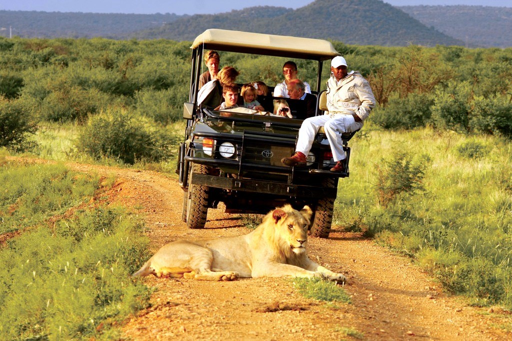 Amboseli | LAT.40