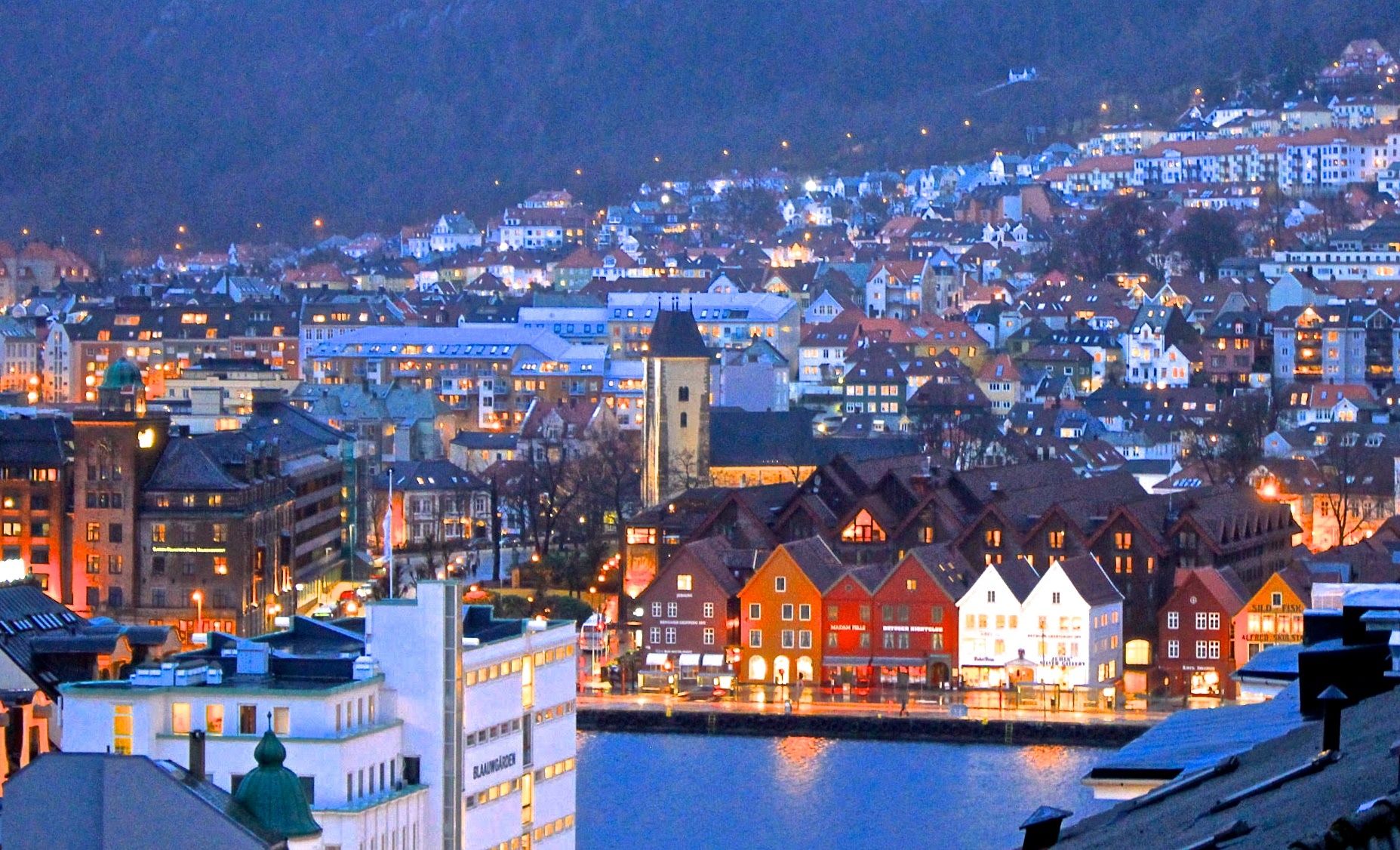 Bergen | LAT.40