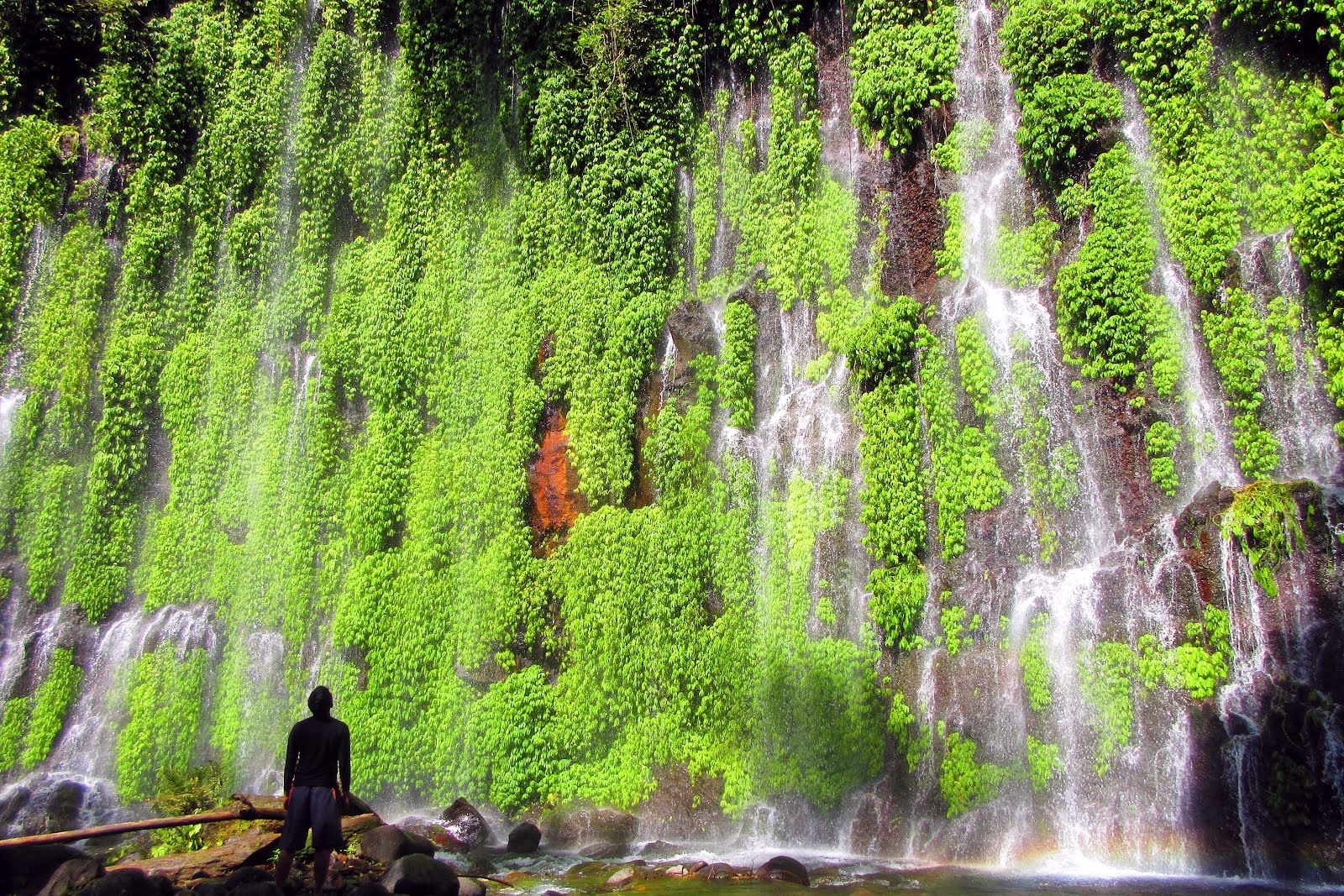 Bohol | LAT.40