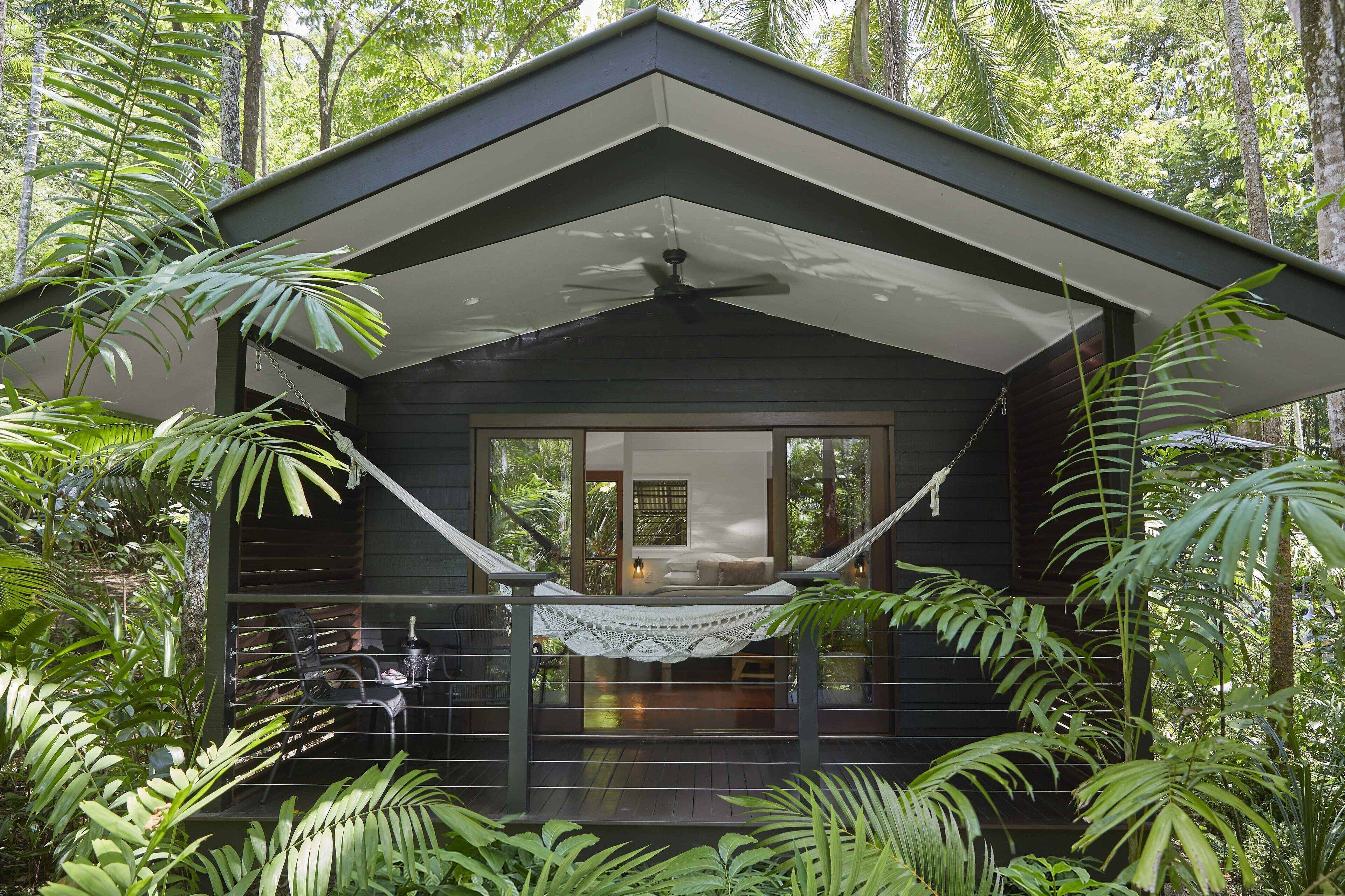 Daintree Forest