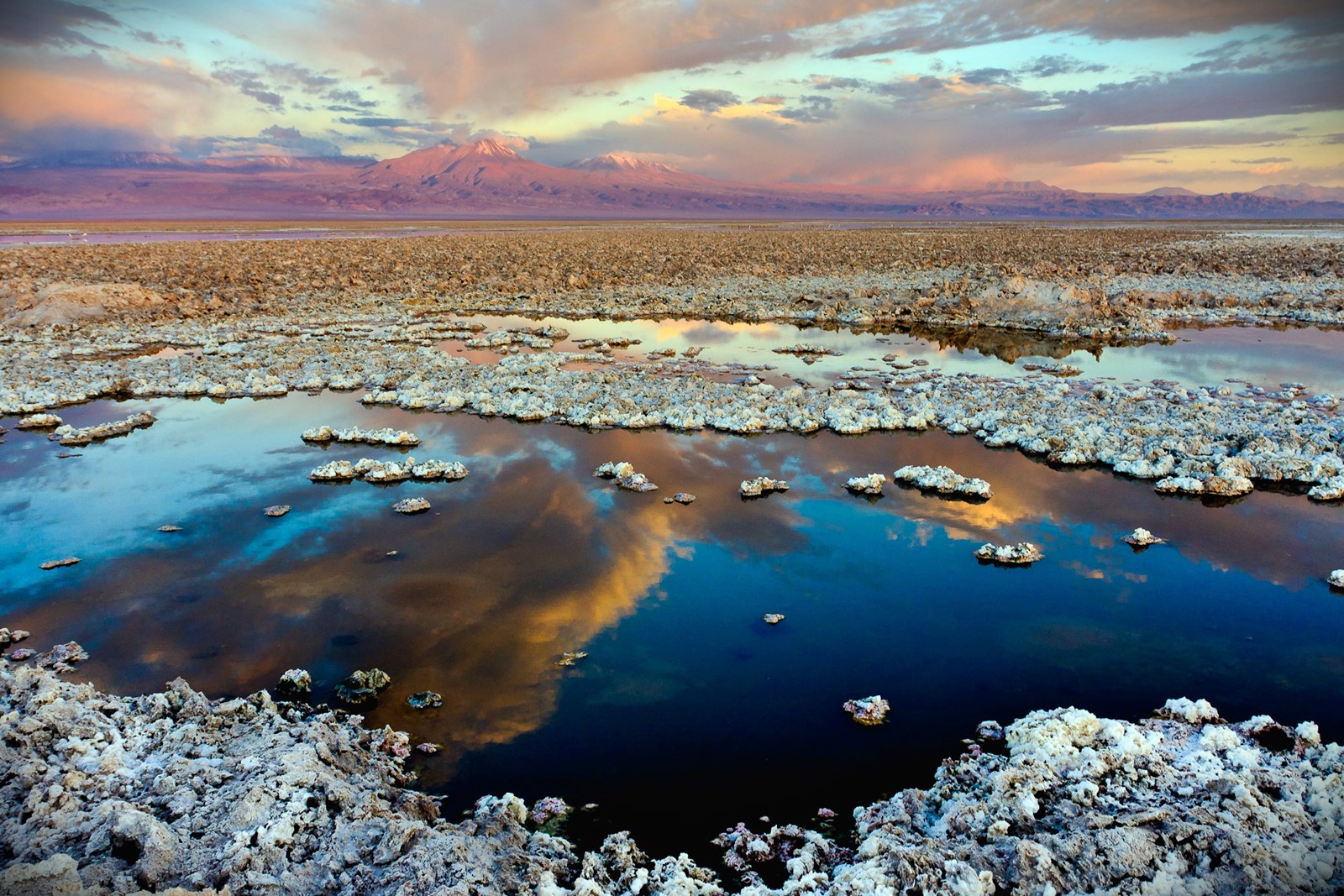 Desierto de Atacama | LAT.40