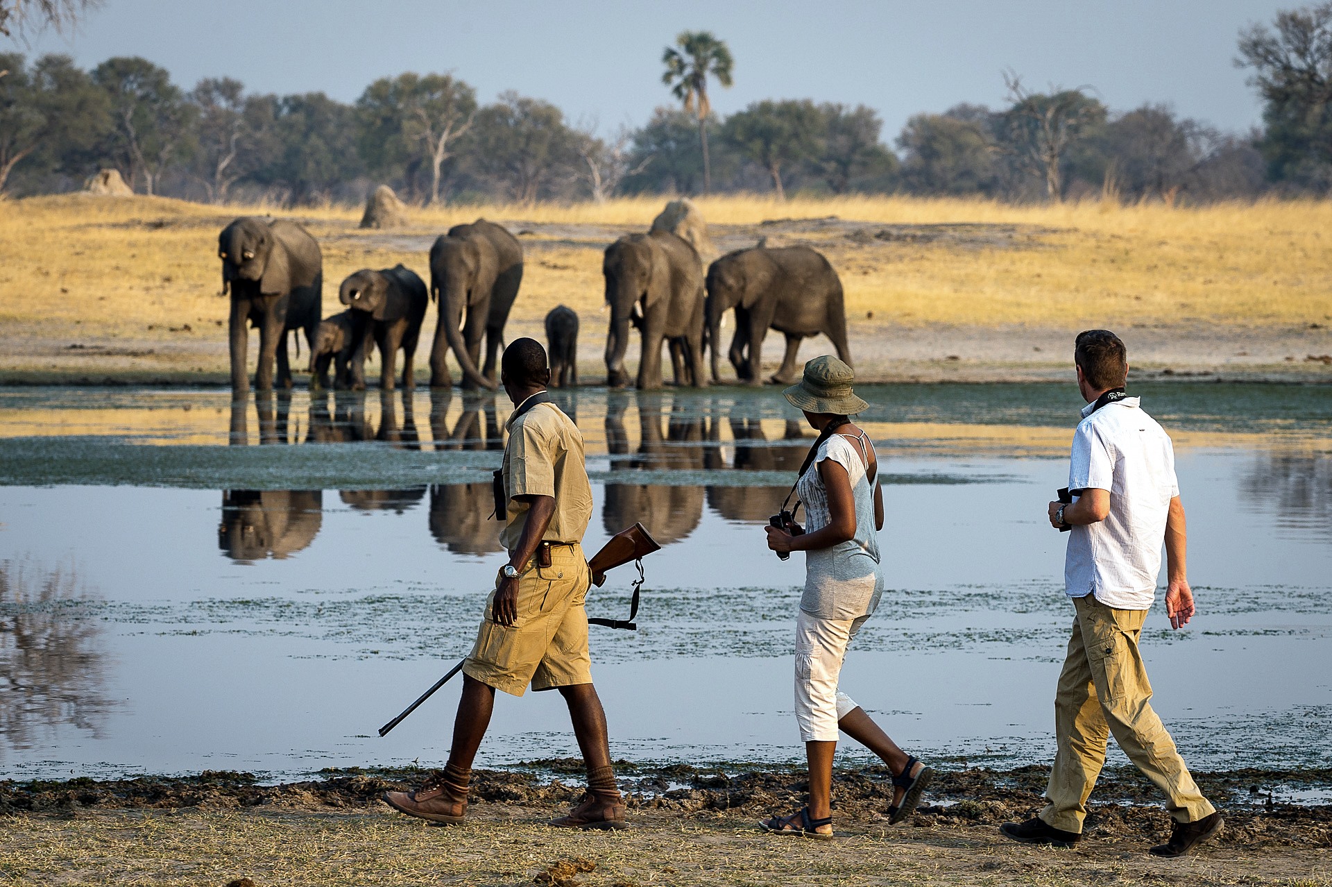 Linkwasha Camp en Hwange