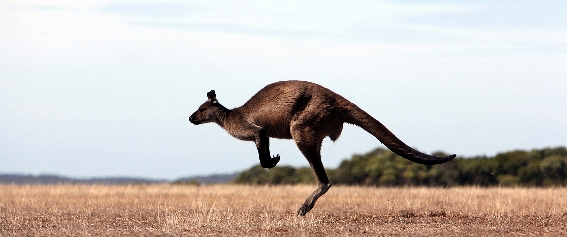 Imagen de viaje Viajes Latitud40