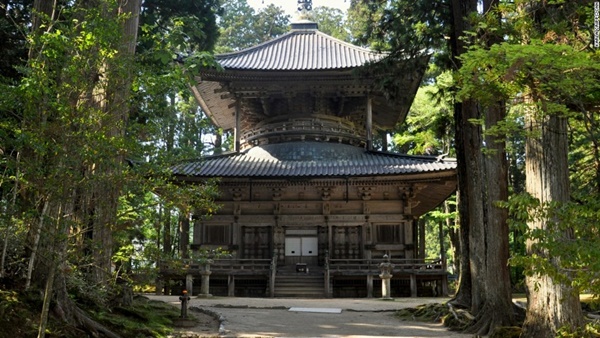 Koya | LAT.40