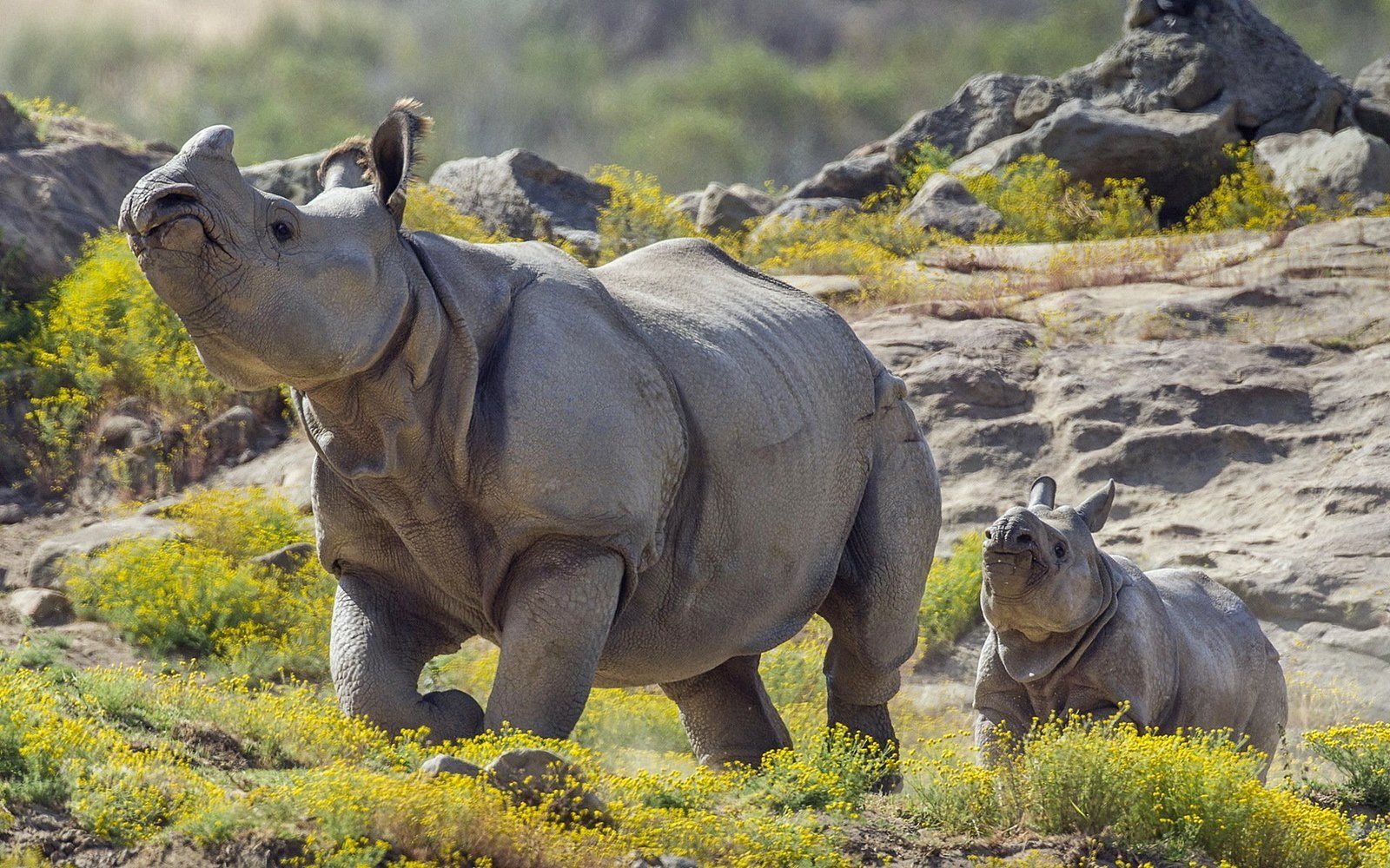 Kruger National Park
