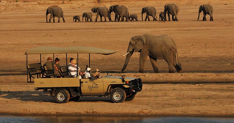 Luangwa Valley