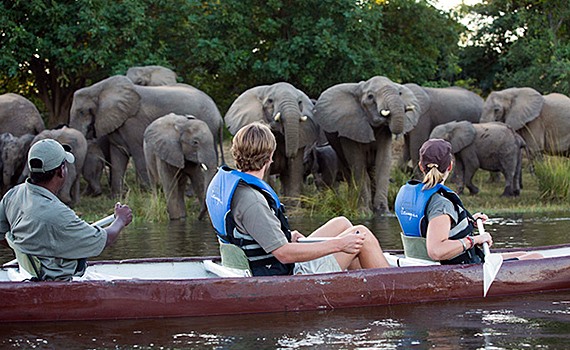 Exclusivo safari en Ruanda y Zambia diseñado por LAT.40