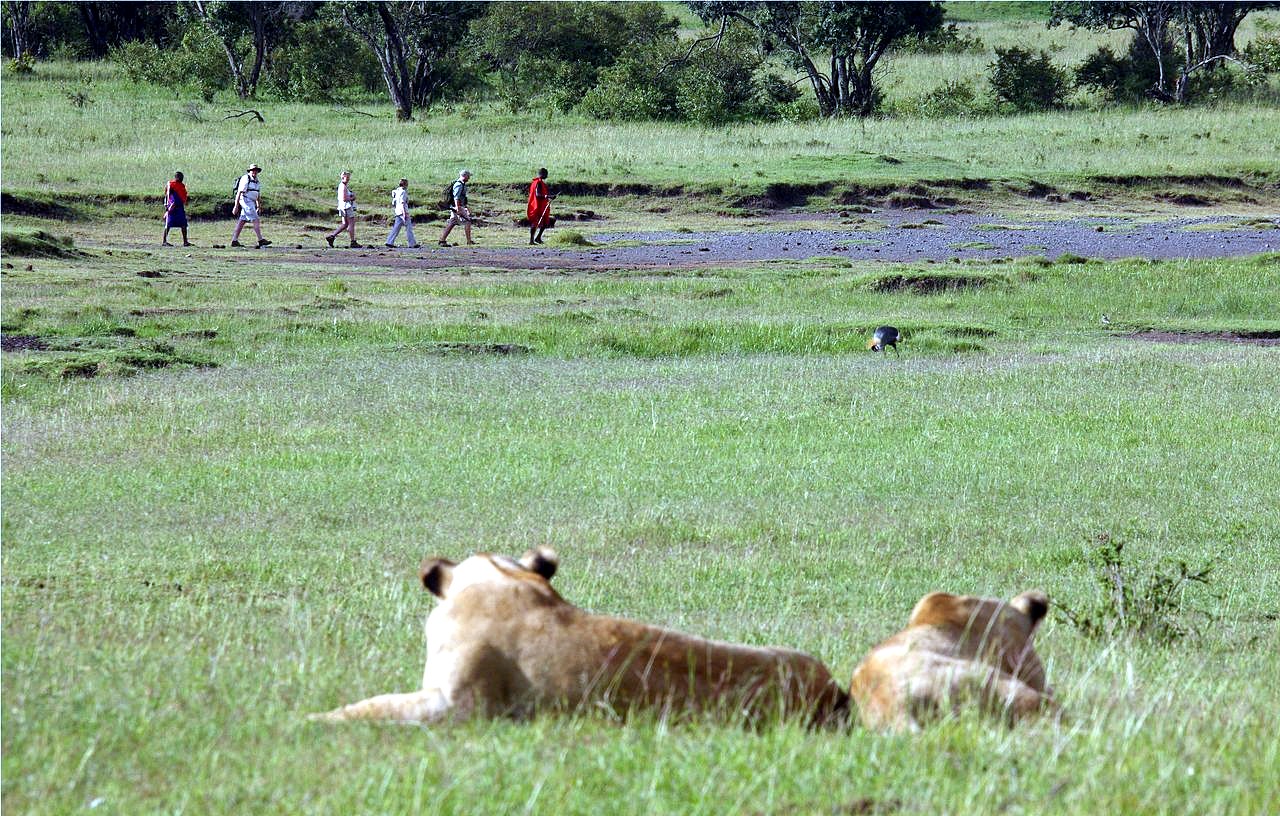 Luna de miel Luangwa Valley, Lower Zambezi y Fanjove diseñado por LAT.40