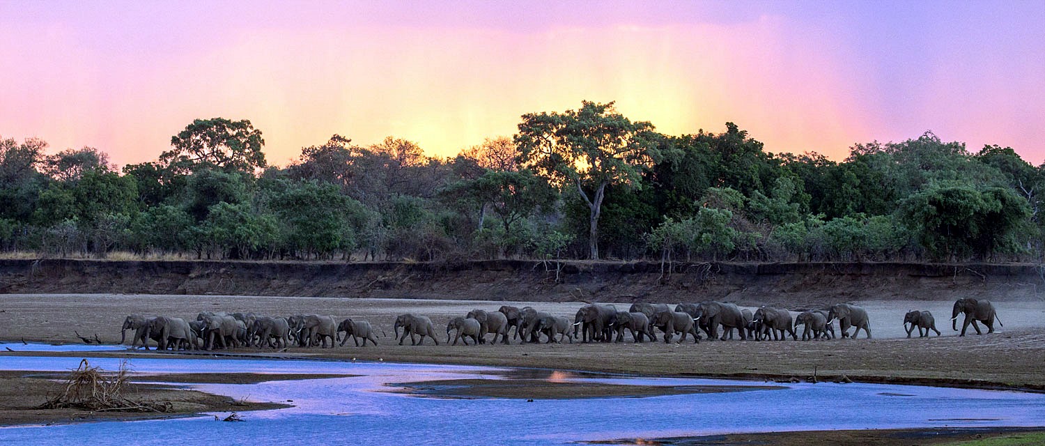 Luangwa Valley | LAT.40