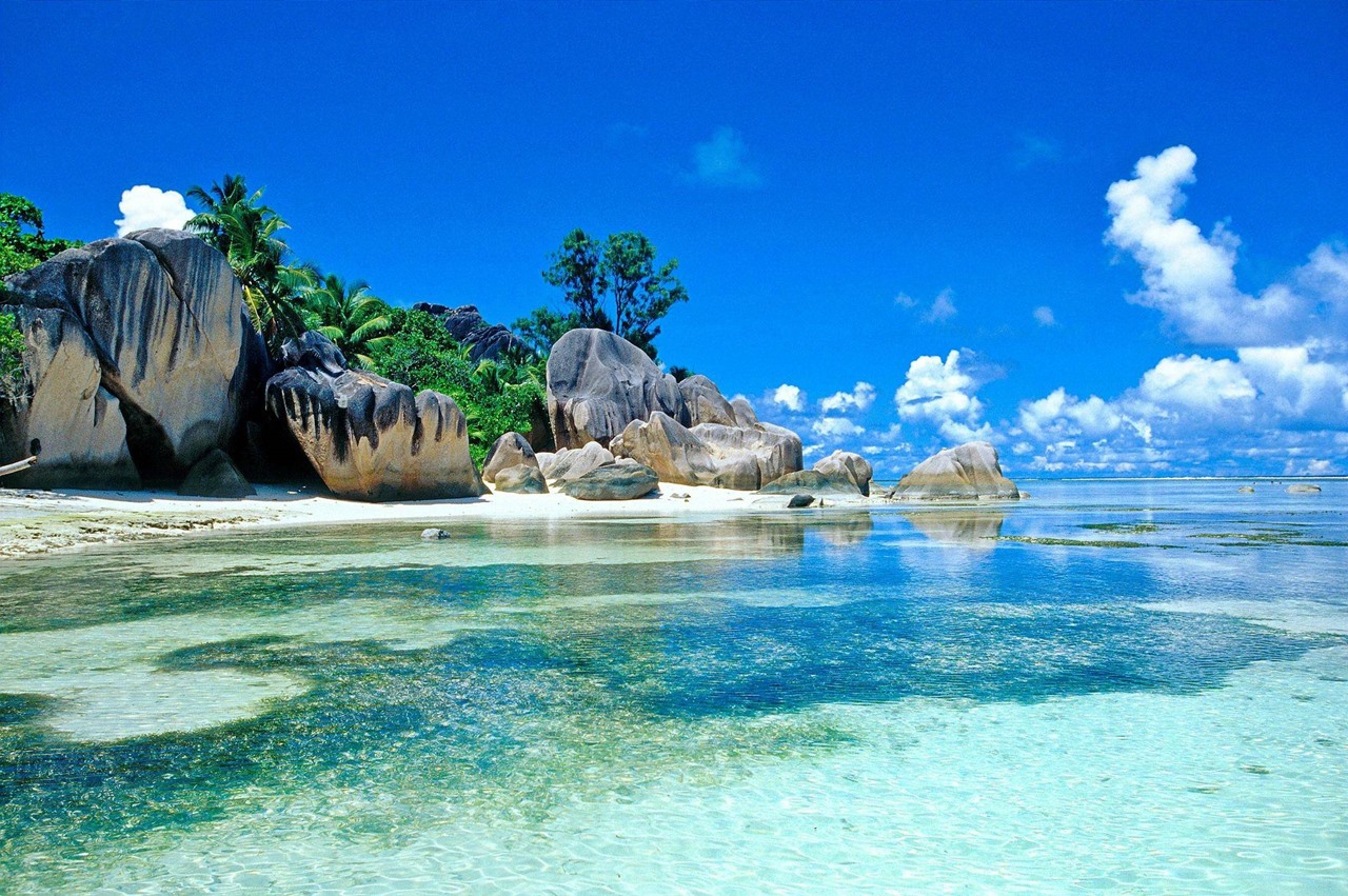 Exclusiva Kenia (Lewa, Loisaba Lodo Springs) y Seychelles diseñado por LAT.40