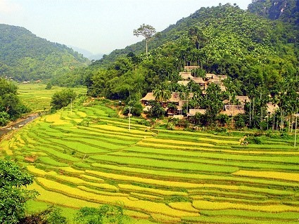 Mai Chau