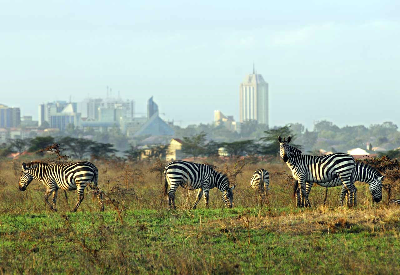 Nairobi | LAT.40