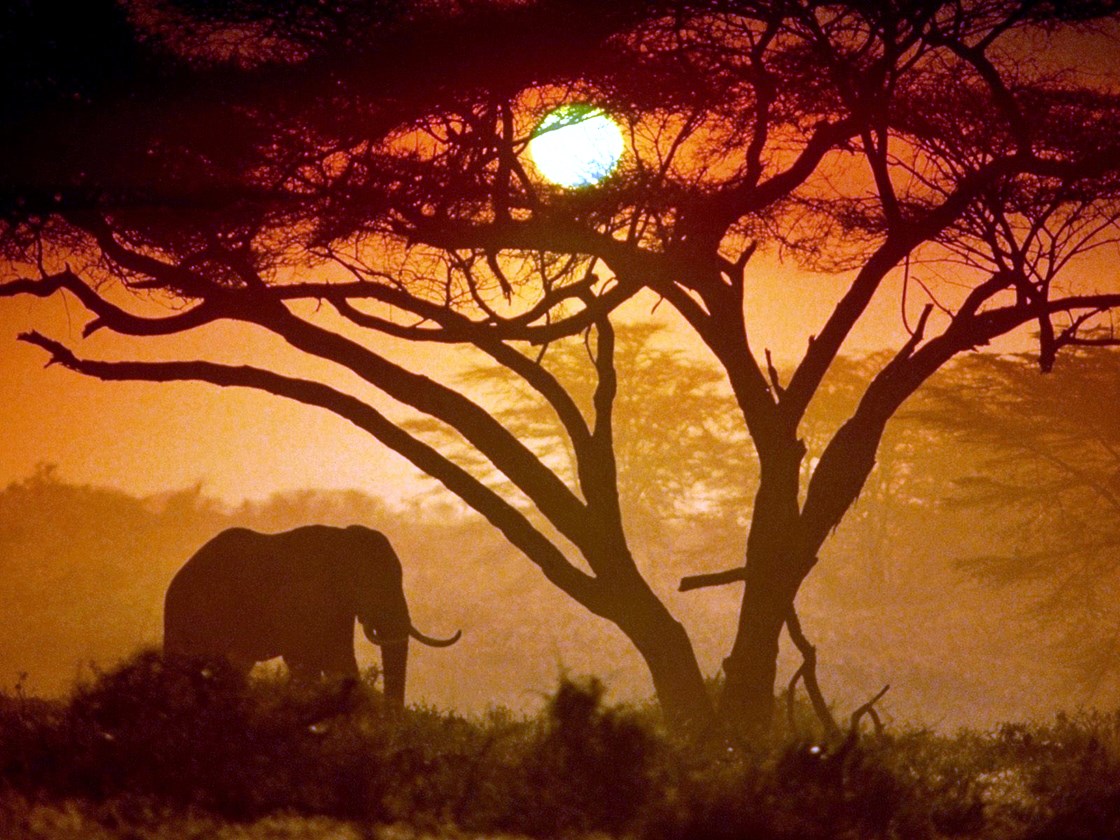 Nakuru | LAT.40