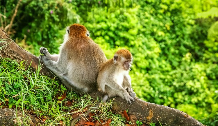 Ubud