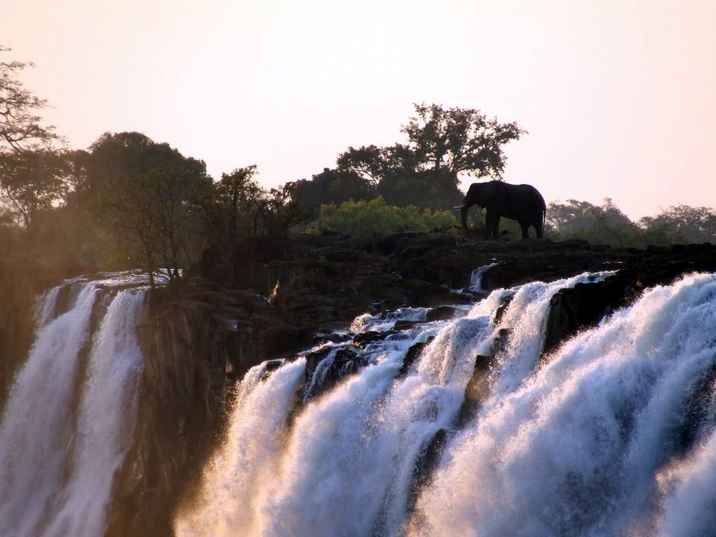 Luna de miel Botswana, Victoria Falls y Denis Private Island diseñado por LAT.40