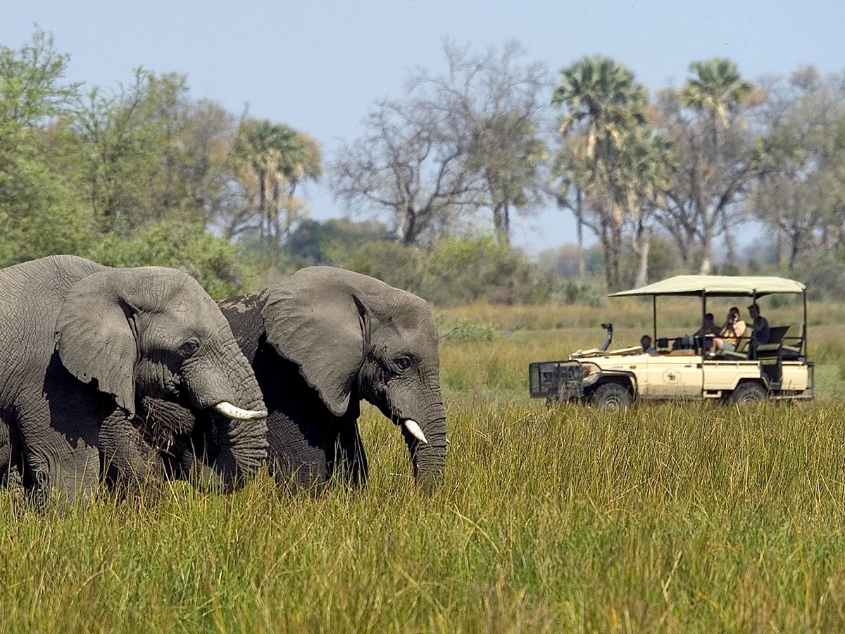 andBeyond Xarana en Delta Okavango