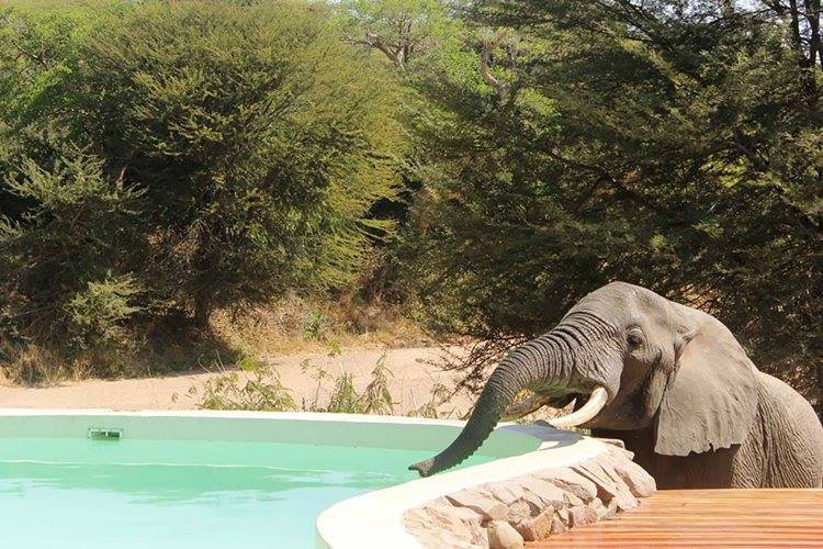 Luna de miel safari Tanzania y Maldivas diseñado por LAT.40