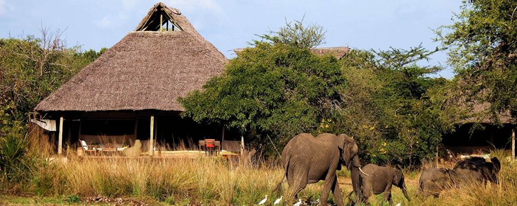 Laba Siwandu Camp en Selous Reserve