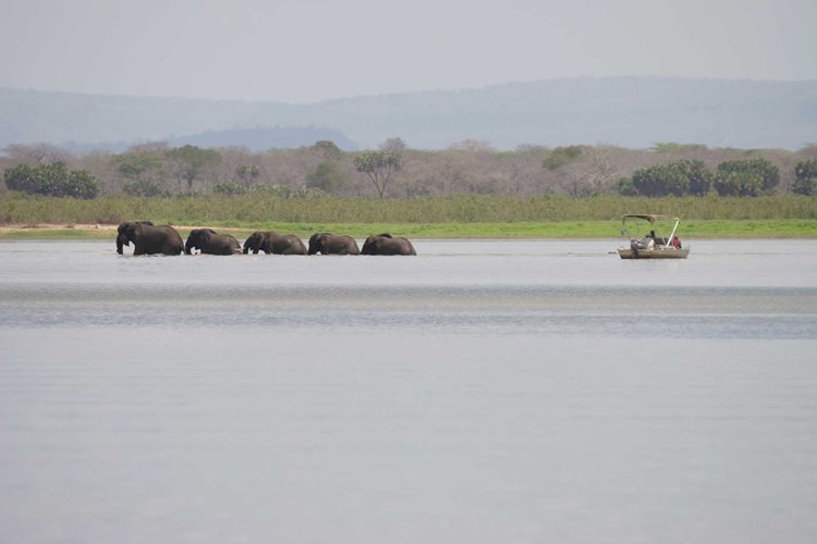 Laba Siwandu Camp en Selous Reserve