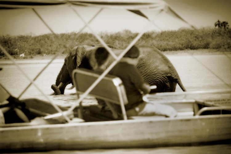 Laba Siwandu Camp en Selous Reserve