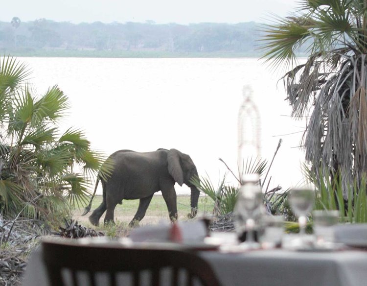 Laba Siwandu Camp en Selous Reserve
