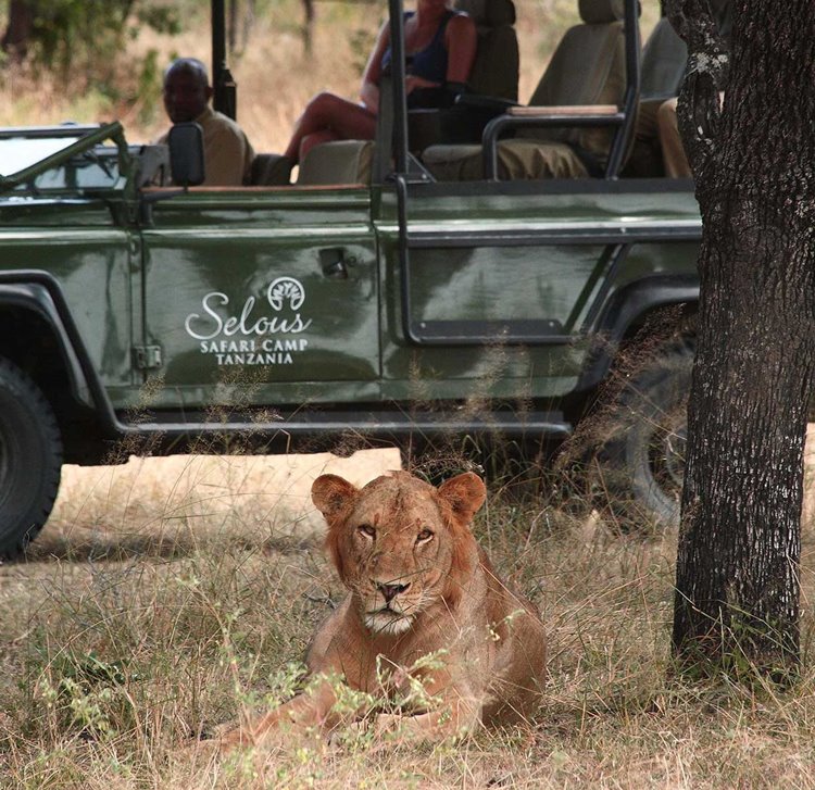 Laba Siwandu Camp en Selous Reserve