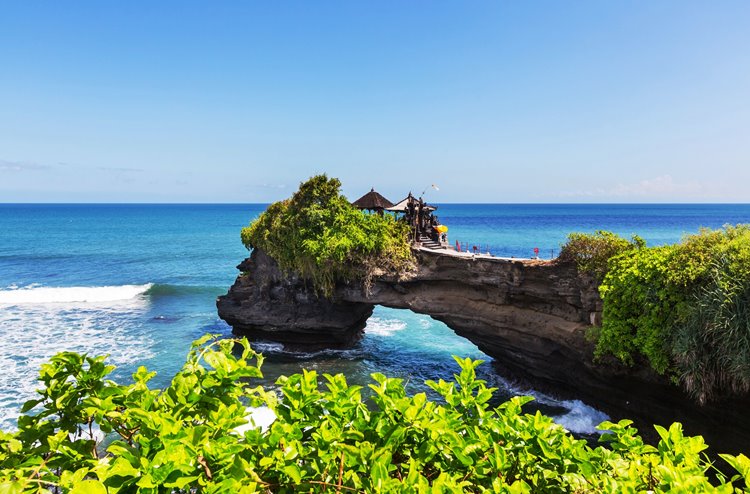 Canggu | LAT.40