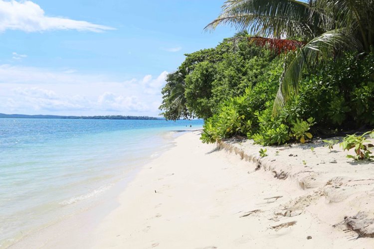 Joyo Island | LAT.40