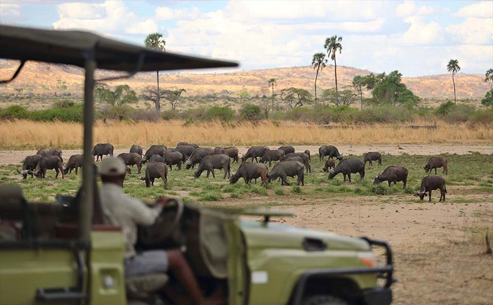 Jabali Ridge Camp en Ruaha