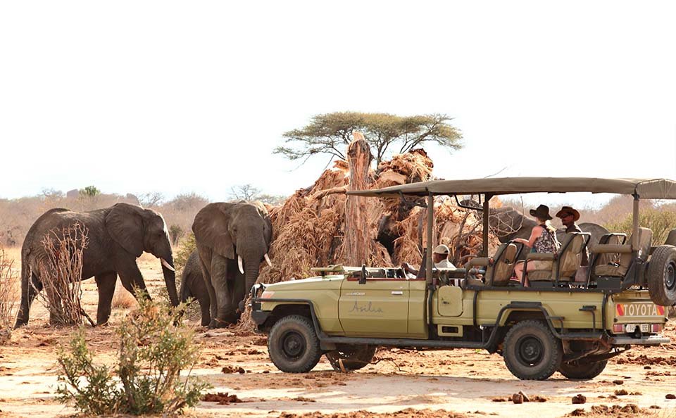 Jabali Ridge Camp en Ruaha