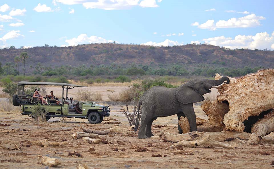 Jabali Ridge Camp en Ruaha