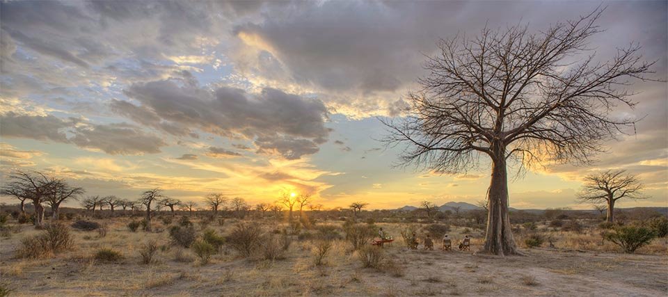 Jabali Ridge Camp en Ruaha