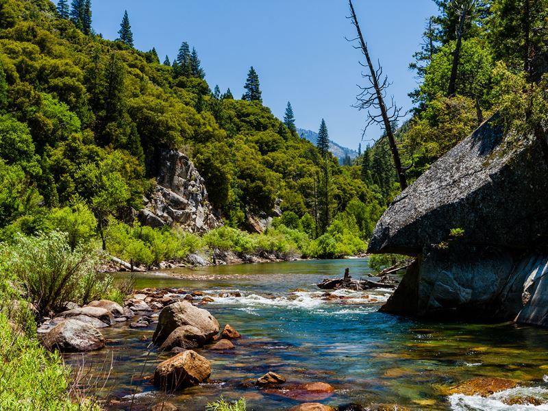 Sequoia National Forest | LAT.40