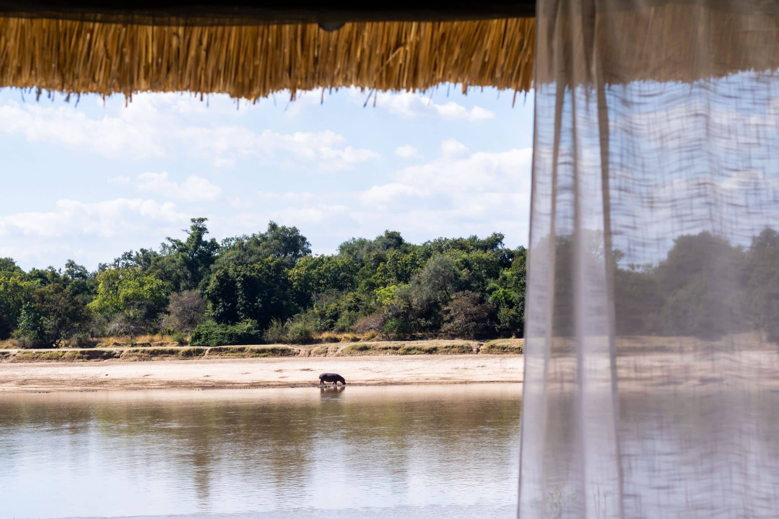 Luna de miel Luangwa Valley, Lower Zambezi, Victoria Falls y Bawah diseñado por LAT.40