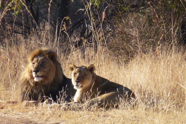 Clifftop Exclusive Safari Hideaway en The Waterberg