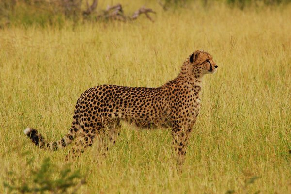 Clifftop Exclusive Safari Hideaway en The Waterberg