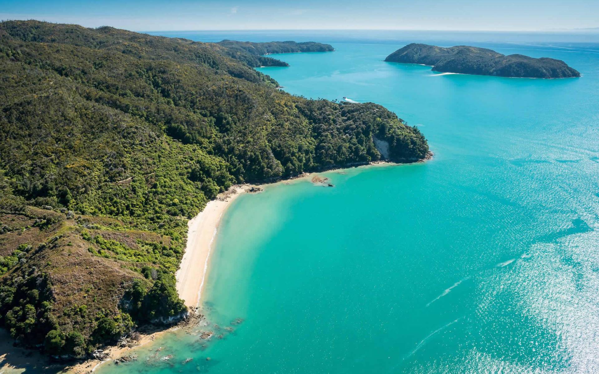 Abel Tasman | LAT.40