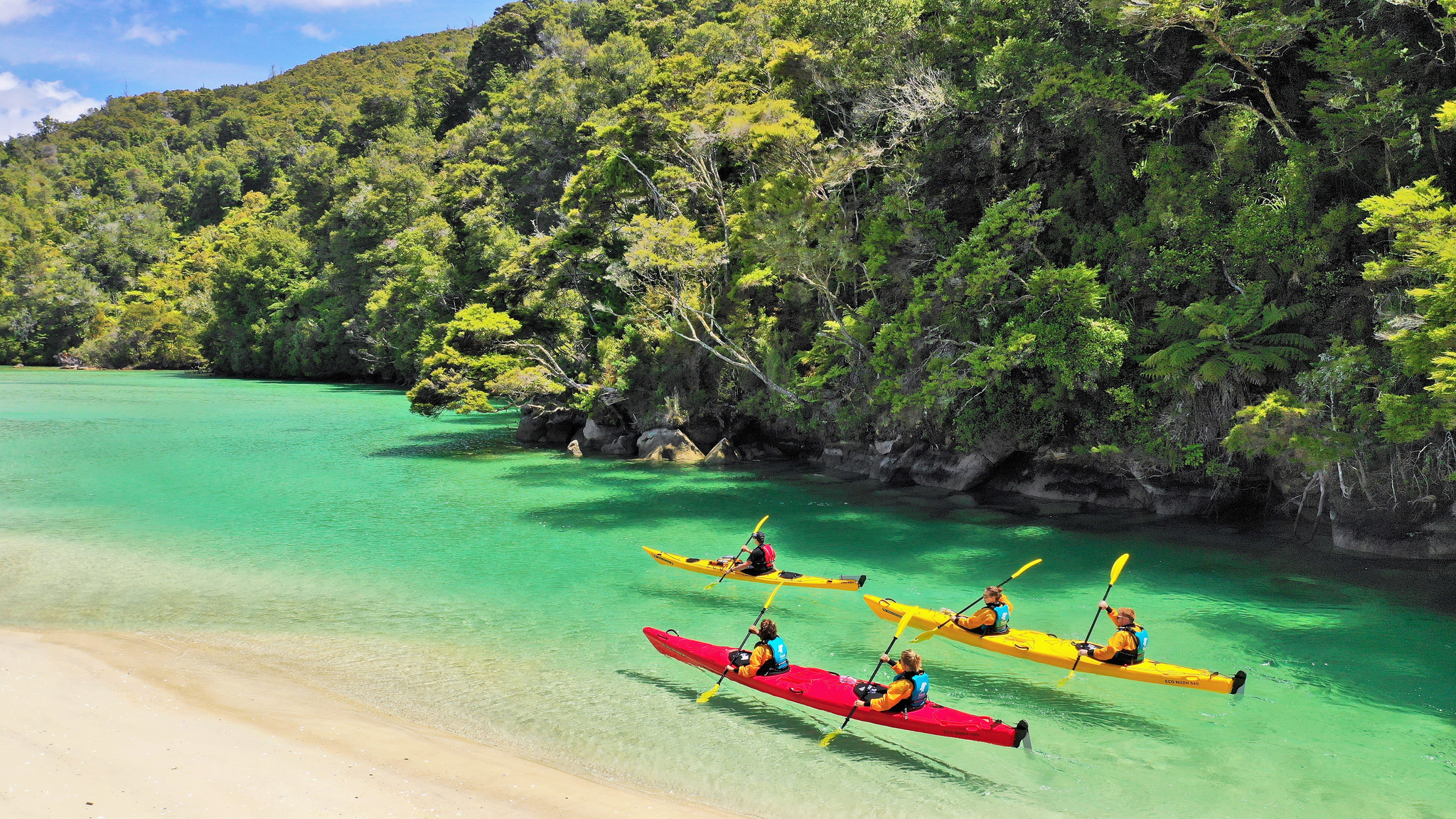 Abel Tasman | LAT.40