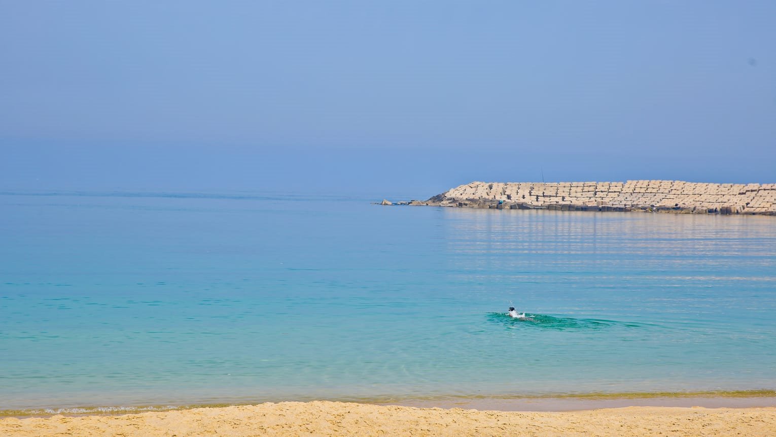 Four Seasons Hotel Alexandria At San Stefano en Alejandria