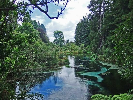 Rotorua | LAT.40