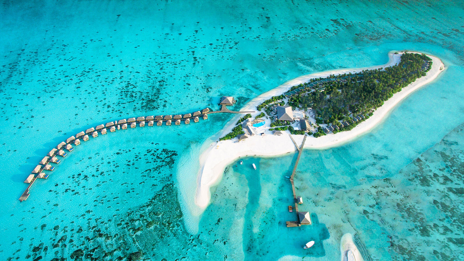 Cocoon Maldives
