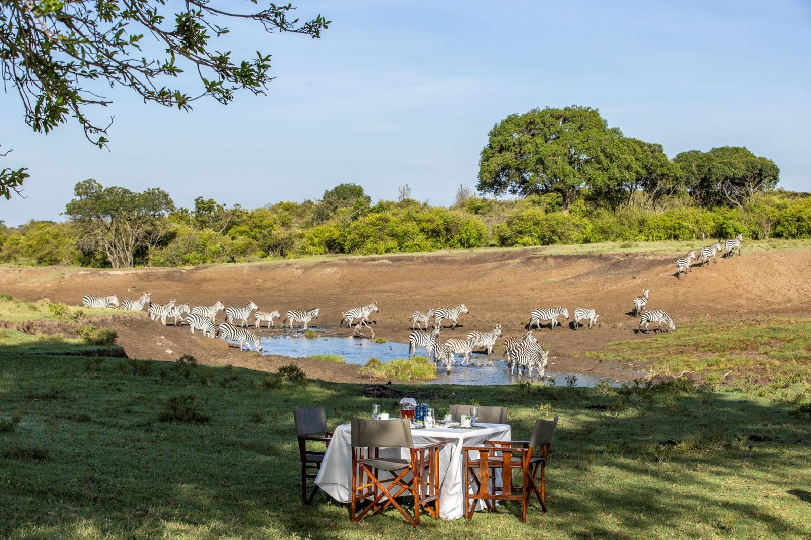Offbeat Ndoto Camp en Masai Mara