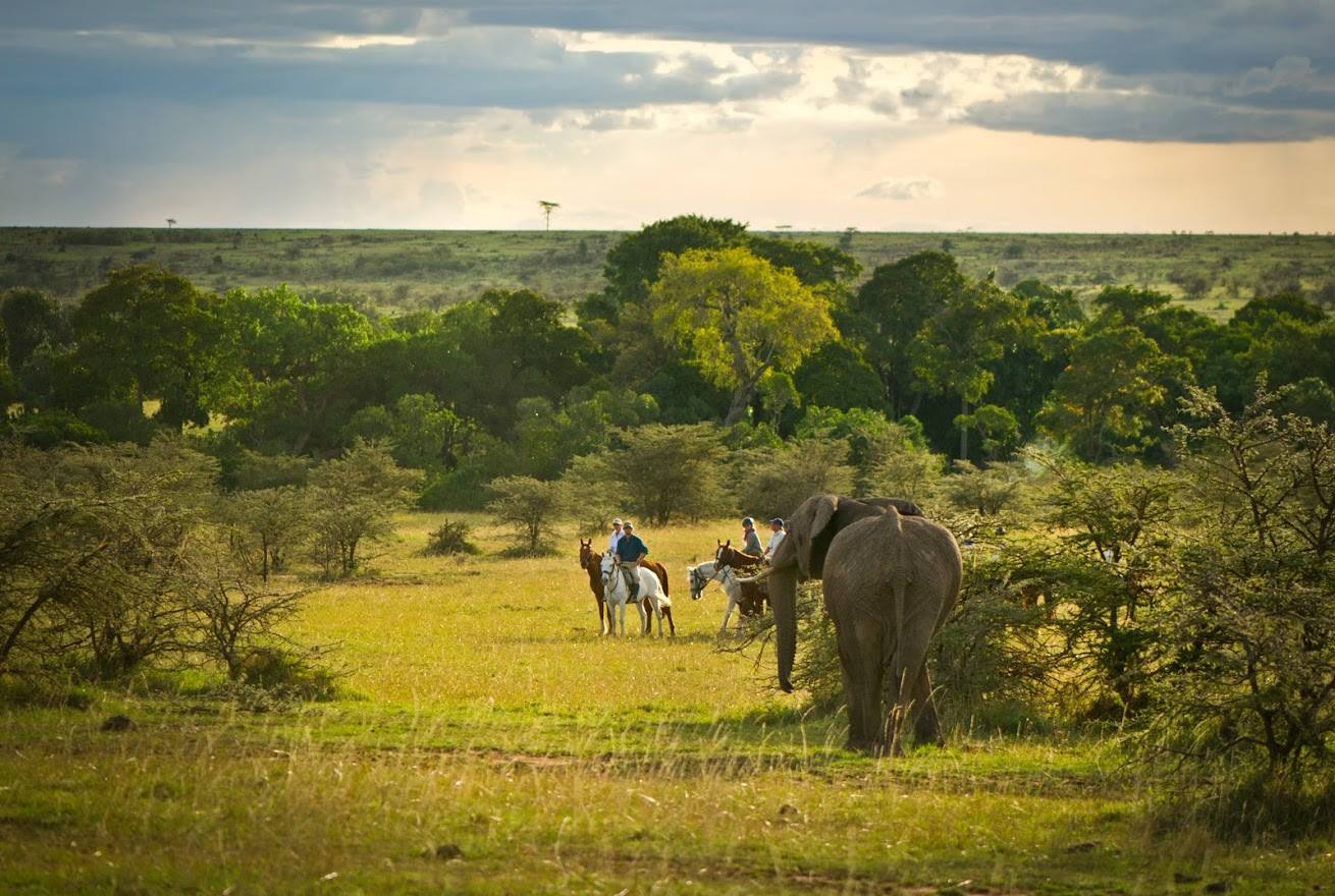 Safari a caballo en Masai Mara