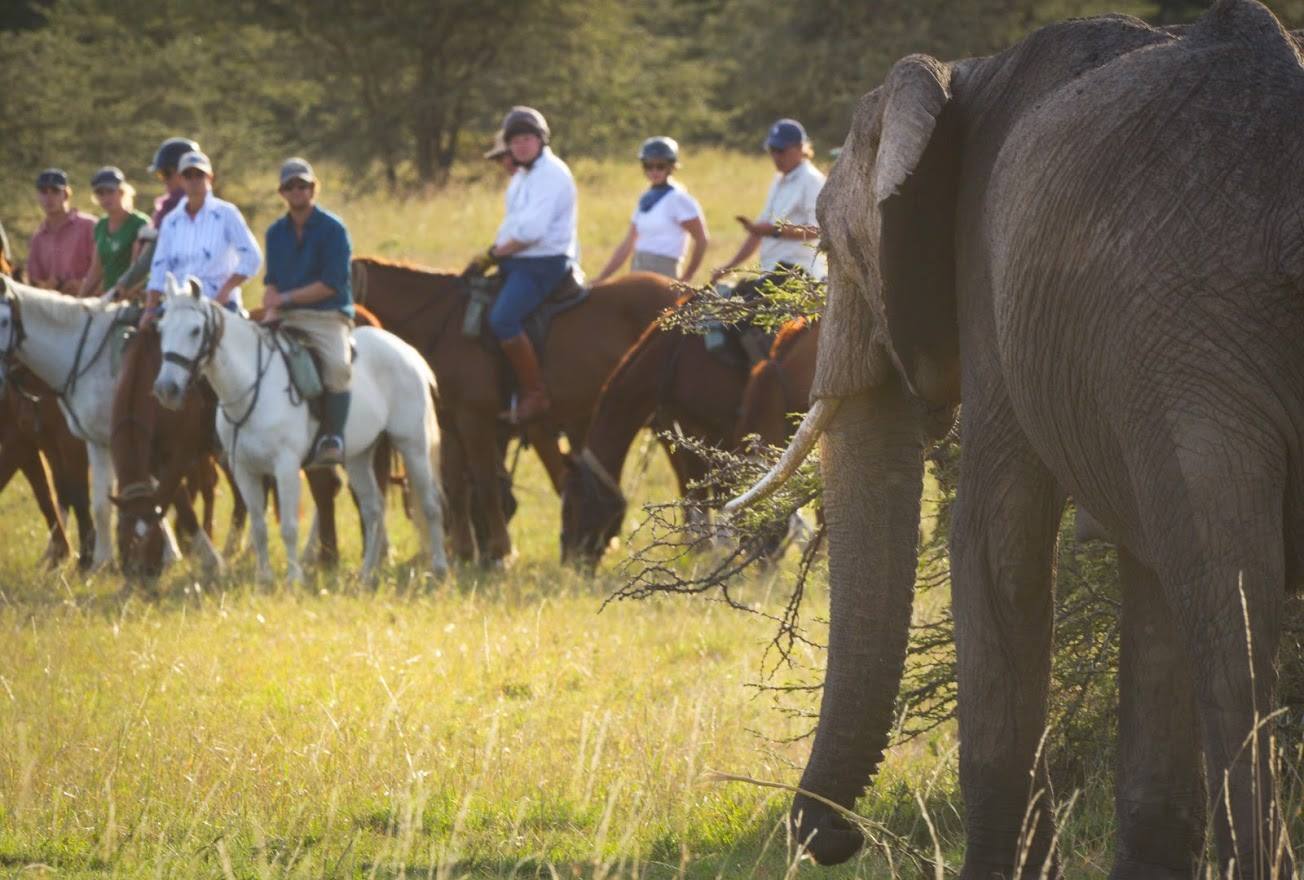 Safari a caballo en Masai Mara
