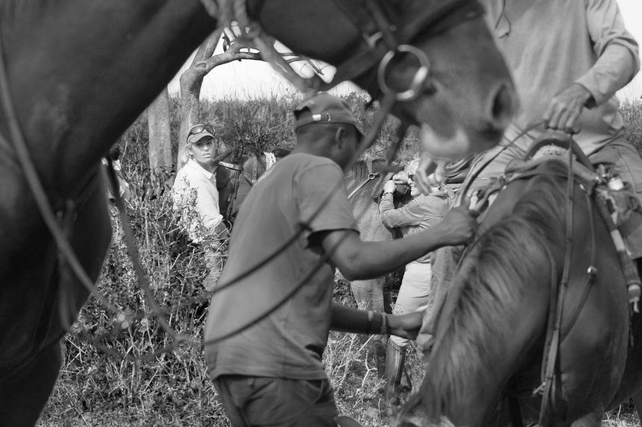Safari a caballo en Masai Mara