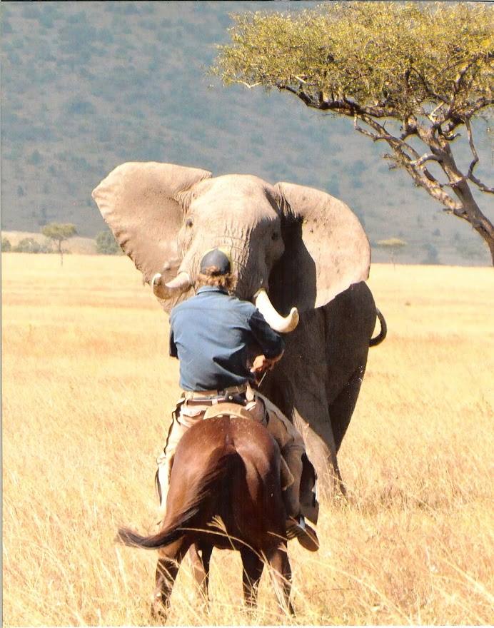 Safari a caballo en Masai Mara