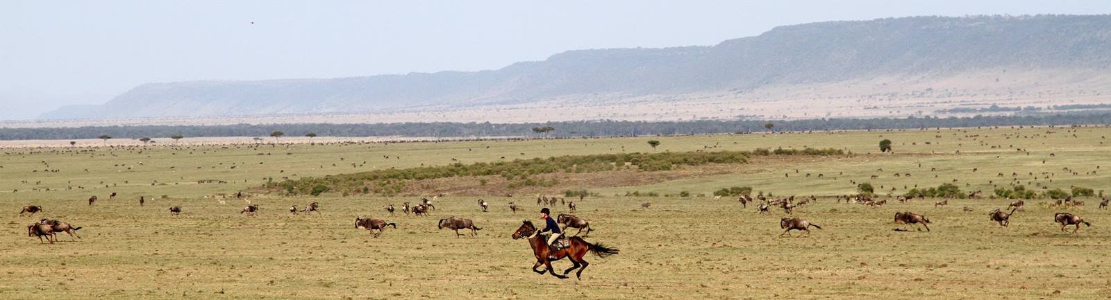 Safari a caballo en Masai Mara