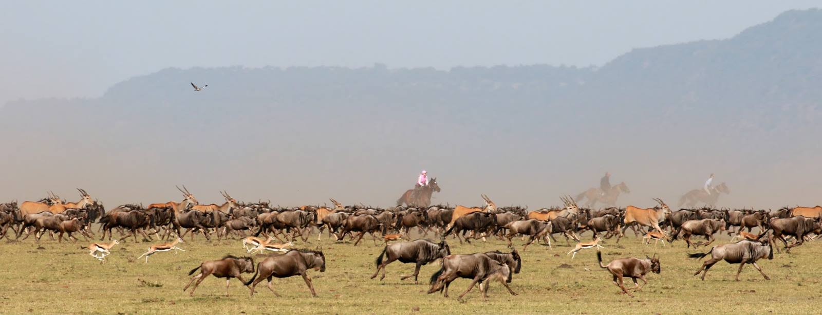 Safari a caballo en Masai Mara